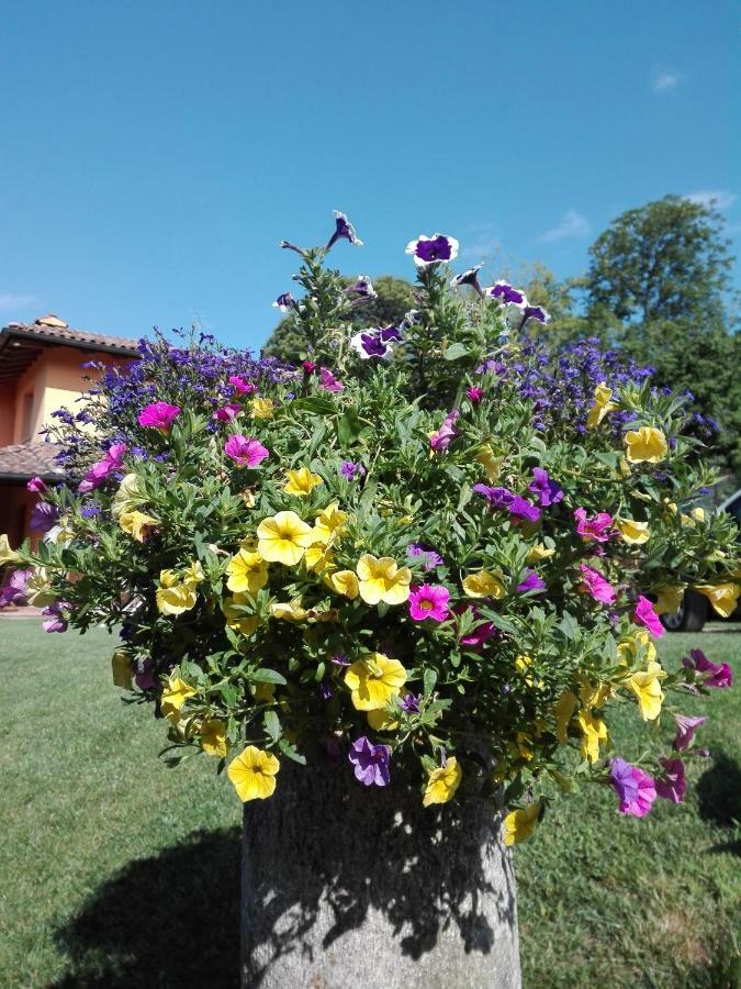 B&B Villa Claudia Lavena Ponte Tresa Extérieur photo